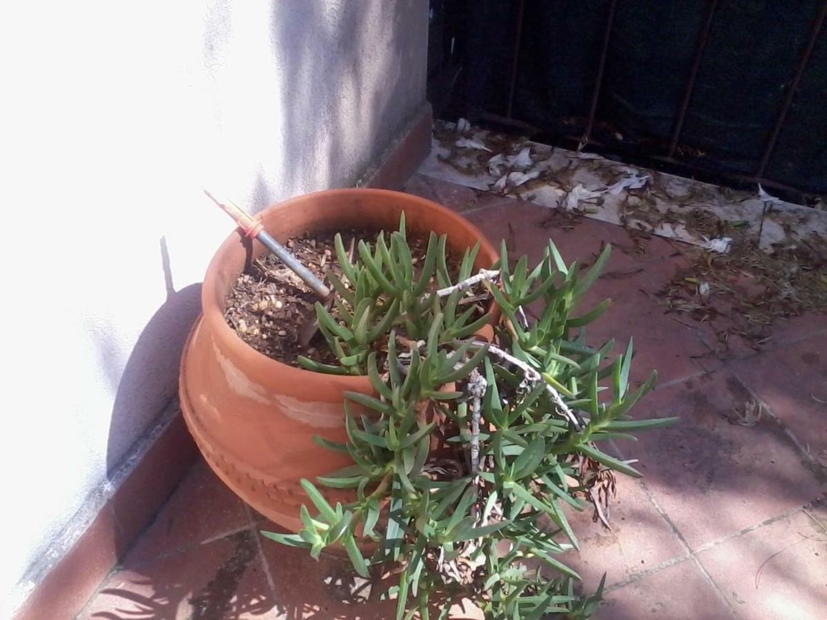 Mandra Capreria Sperone酒店 外观 照片
